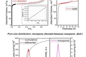 Microporous Structures Adsorption Isotherm, T-plot and Pore Sizes